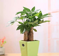 微信截图_20200928153313_副本.png